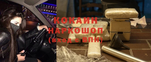 твердый Алексин
